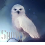 Snowing clothing line.