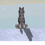 Roblox Wolf Squad