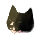 CatMeetingPlace