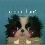 carrot_exe's group