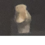 Tixsters