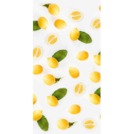 the_lemon_squad
