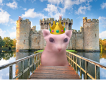 BINGUS KINGDOM