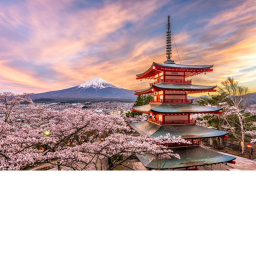 JAPAN ADMIN