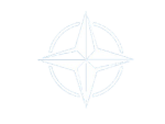 Nato Fighting Force