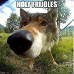 TheWolves xD
