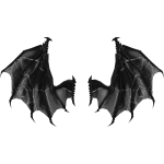 Black Storm Wings