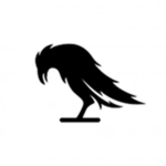 BIack Raven Company