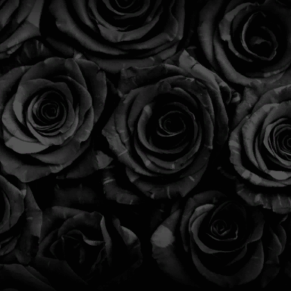 Dark gothic black roses
