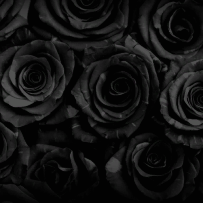 Dark gothic black roses