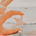 *+:｡.｡summer sunset｡.｡:+*