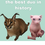 floppa and bingus inc.