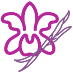 Royal Orchid Airlines