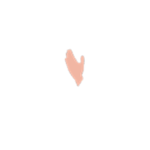 525th Fighter Squadronᅠᅠ