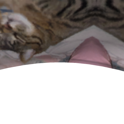 Teh d0me oF mY oVeR large KitTeh