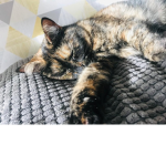 Emie_2124