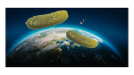 pickle games studio