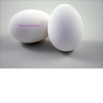 Magenta Egg Studios