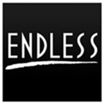 ENDLESS security