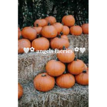 ࿔angels faeries ࿔