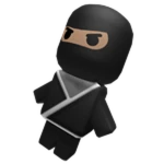 Ninja BLOXikin