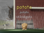 The Kingdom of Potatoes!