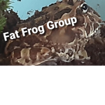 Big Frog Group