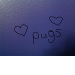 Pugs Family