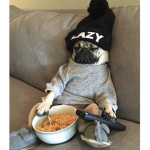 pugs for justice