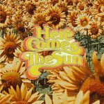Skyy's sunflower