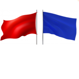 capture the flag test