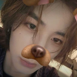 ⋆.🎻࿔*: icon