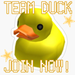 TEAM DUCKS!!