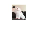 The Hamsters Fan Page
