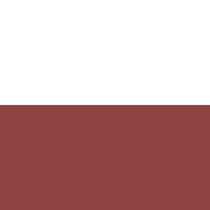 Хięstwo Warszawskiе Roblox group icon