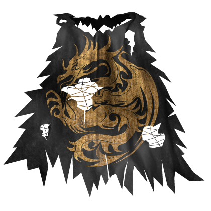 Black & Gold Medieval Cape 