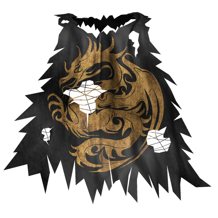 Black & Gold Medieval Cape 