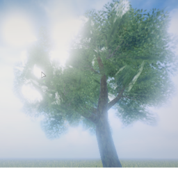 The MidHaven