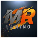 Mr_Gaming.