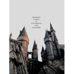 Hogwarts~school