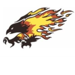Flordia Firebirds Softball Team