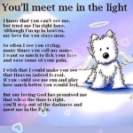 Traygroup