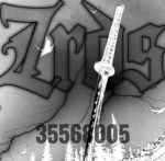 Zrd's