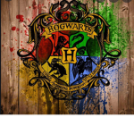 -True Harry Potter Fans-