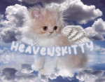 heavenskitty