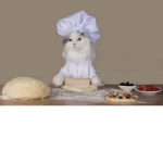 chef cats :3