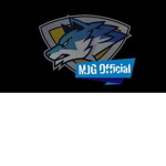 MJG TEAM