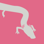 Olm