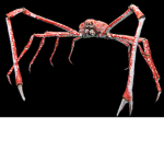 Church Of The Crab God