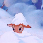 bed's blankets C;